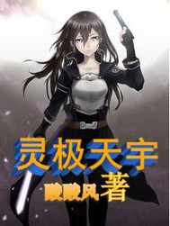 灵极天宇"